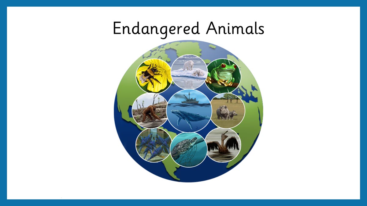 Проект endangered animals