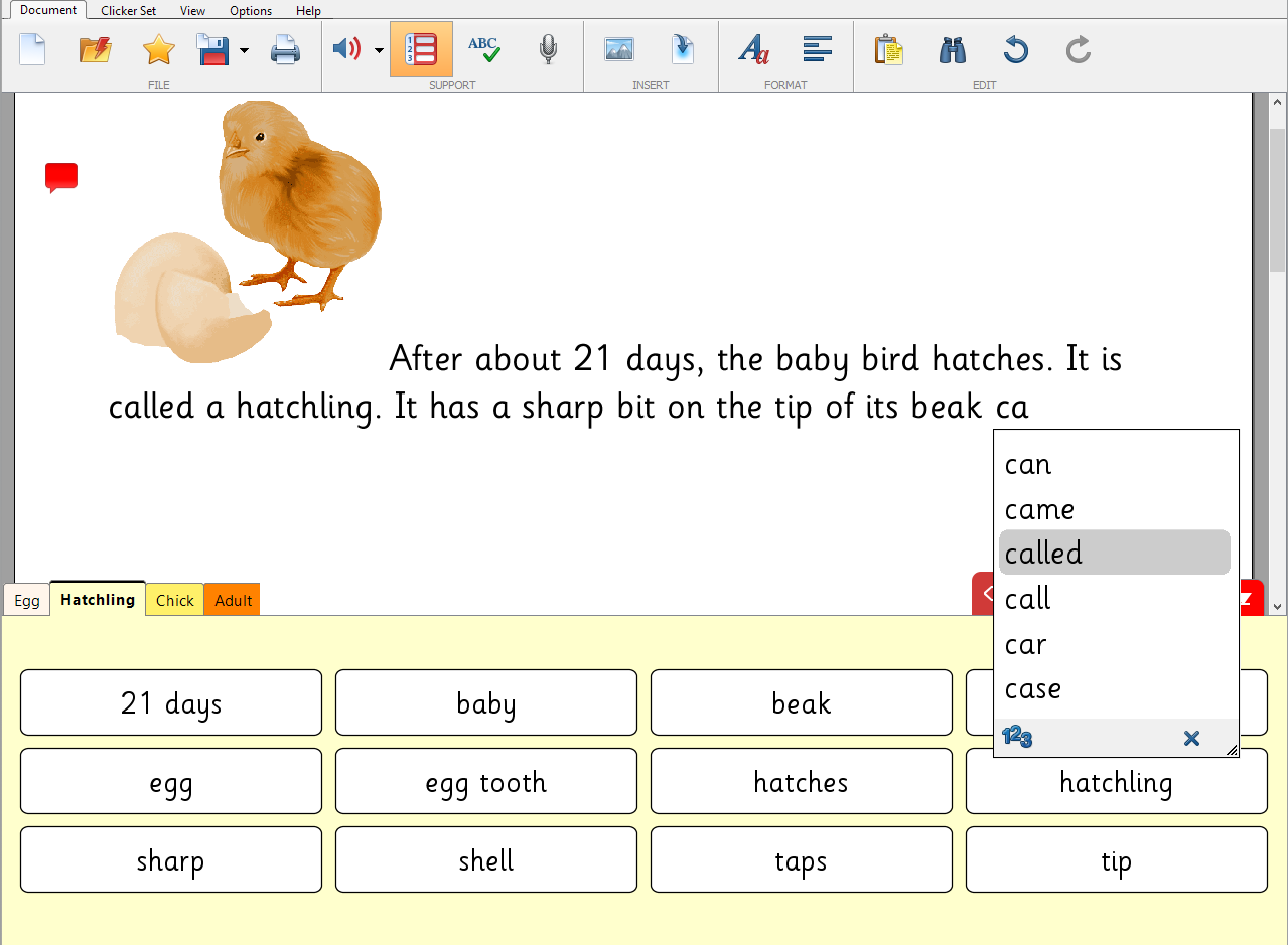 03 Support any curriculum area