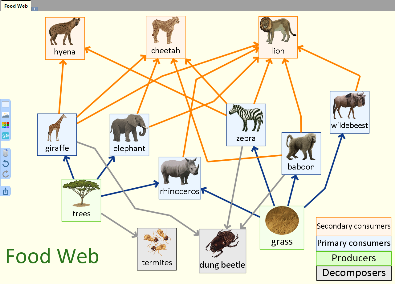 02 Mind map